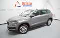 Skoda Karoq 2.0TDI AdBlue Ambition 4x4 DSG 110kW Gris - thumbnail 1