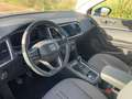 SEAT Ateca 2.0TDI CR S&S Style Go 150 Azul - thumbnail 12