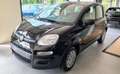 Fiat Panda Panda 1.0 FireFly S&S Hybrid Schwarz - thumbnail 2