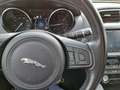 Jaguar F-Pace 2.0d i4 Prestige awd 180cv auto my19 Білий - thumbnail 15