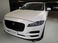 Jaguar F-Pace 2.0d i4 Prestige awd 180cv auto my19 Білий - thumbnail 1