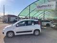 Fiat Panda Panda 1.3 mjt 16v Easy s Bianco - thumbnail 4