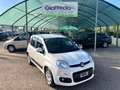 Fiat Panda Panda 1.3 mjt 16v Easy s Bianco - thumbnail 13