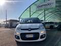 Fiat Panda Panda 1.3 mjt 16v Easy s Bianco - thumbnail 7