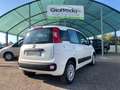 Fiat Panda Panda 1.3 mjt 16v Easy s Bianco - thumbnail 11