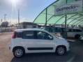 Fiat Panda Panda 1.3 mjt 16v Easy s Bianco - thumbnail 6