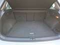 Volkswagen Tiguan Comfortline TSI Bianco - thumbnail 22