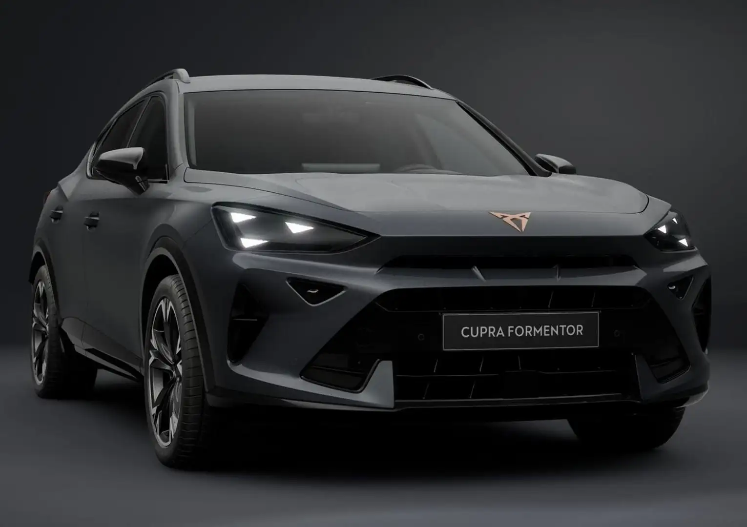 CUPRA Formentor e-HYBRID intelliD Matrix Nav Dinamica 150 kW (2... Grau - 2