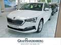 Skoda Scala Cool Plus 1.0 TSI Klima Weiß - thumbnail 1