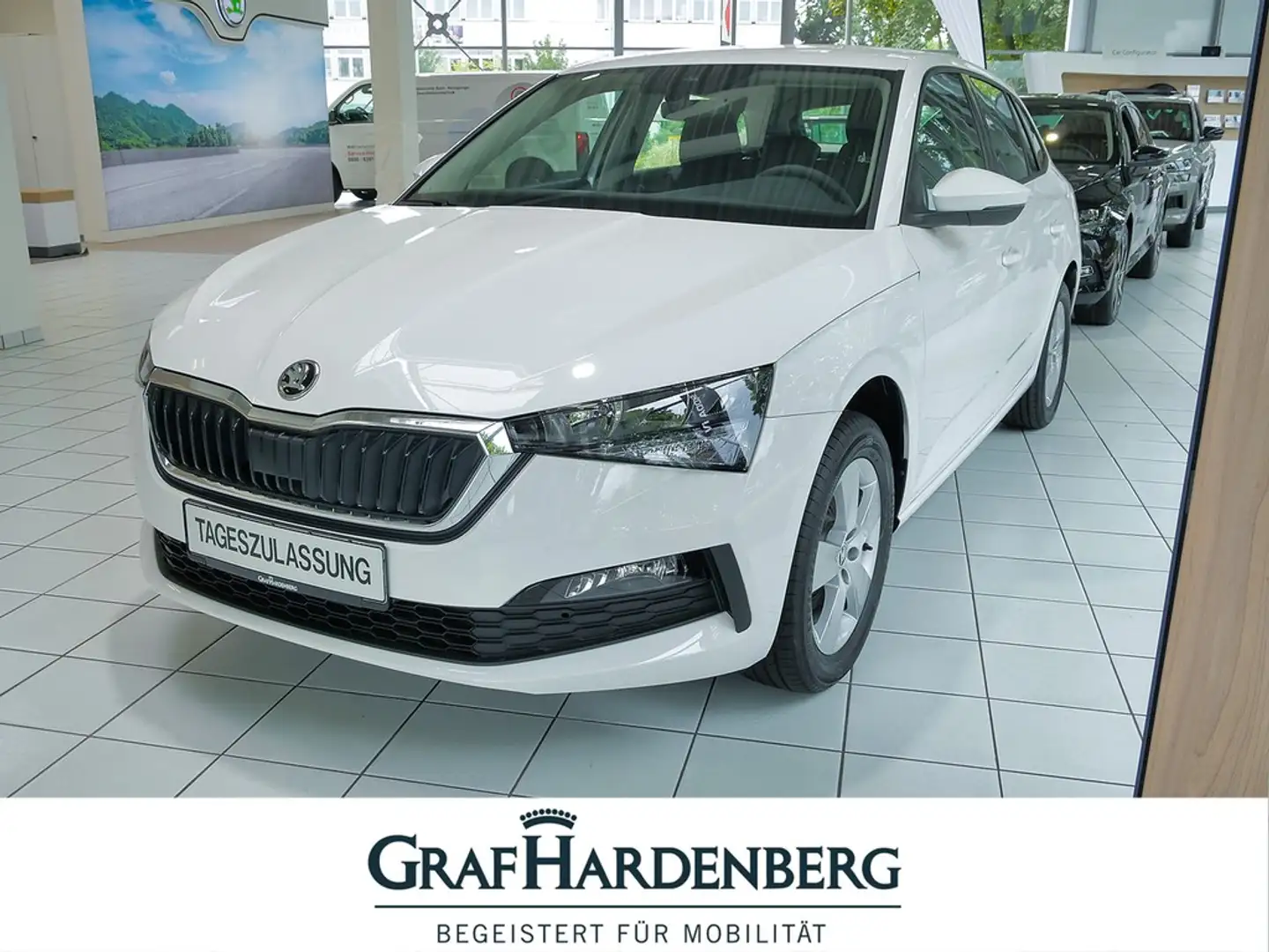 Skoda Scala Cool Plus 1.0 TSI Klima Weiß - 1