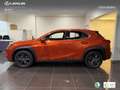 Lexus UX 250h Business 2WD Orange - thumbnail 13