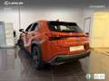 Lexus UX 250h Business 2WD Orange - thumbnail 14