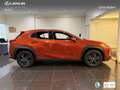 Lexus UX 250h Business 2WD Orange - thumbnail 3