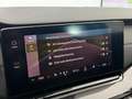 Skoda Octavia 2.0 TDI DSG Style *PANO*ACC*HUD* Schwarz - thumbnail 24