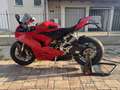 Ducati Panigale V2 - thumbnail 4