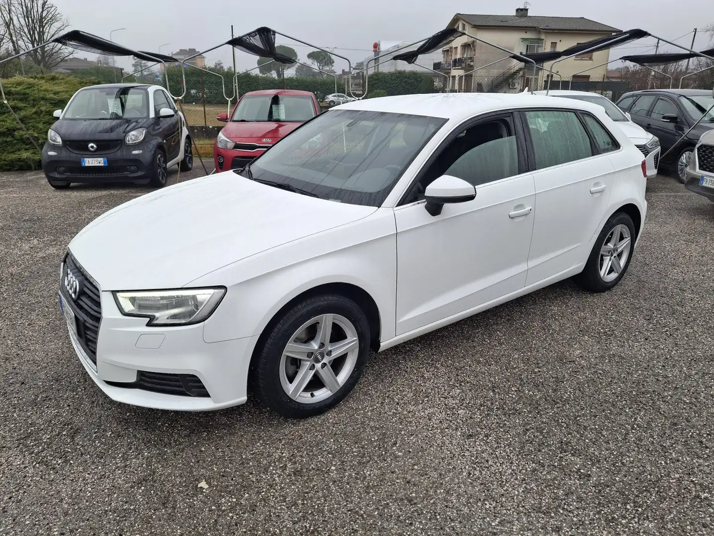 Audi A3 A3 III 2016 Sportback 30 1.6 tdi Business 116cv Bianco - 1