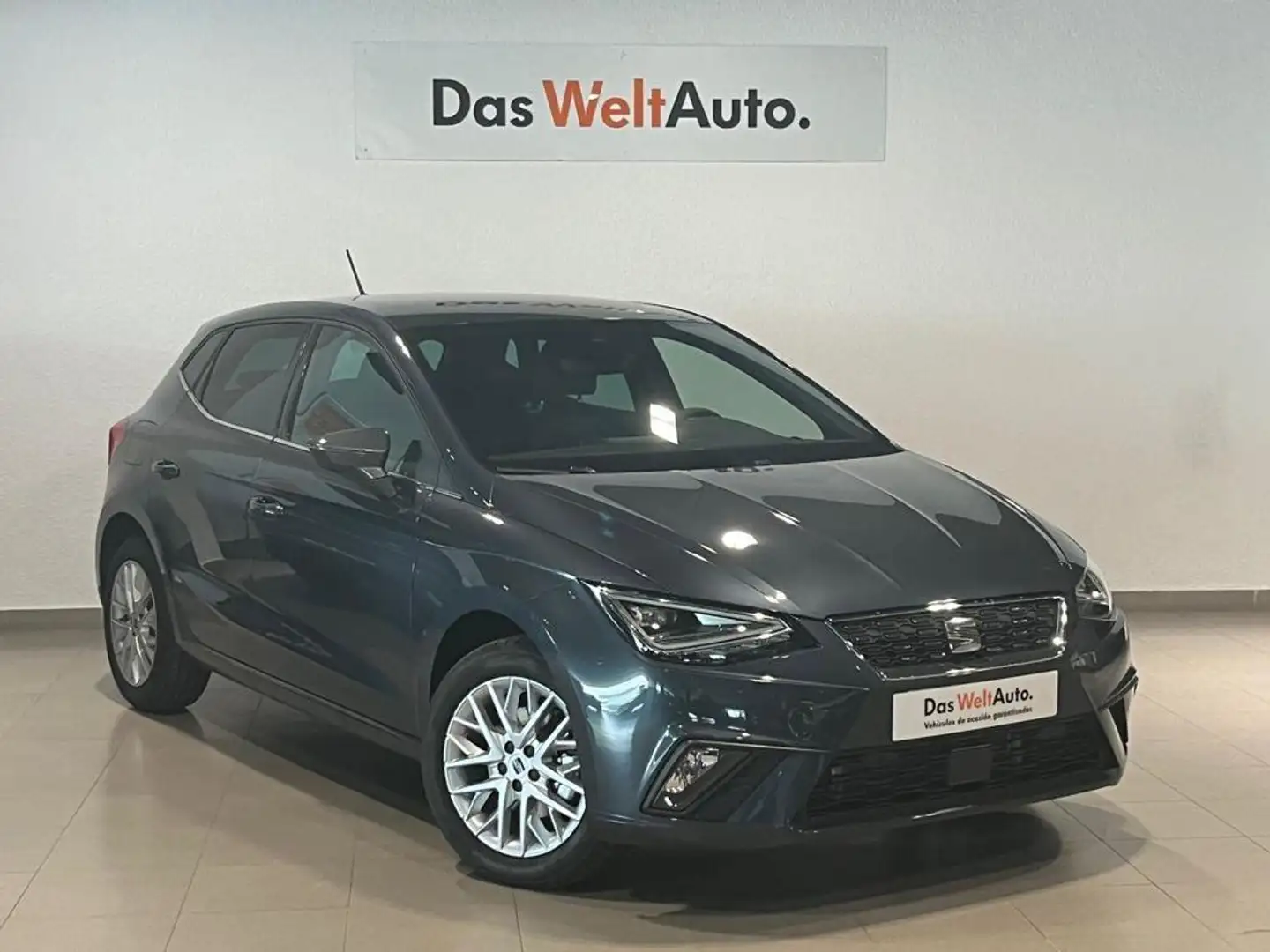 SEAT Ibiza 1.0 TSI S&S Special Edition 110 Gris - 1
