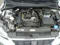 SEAT Ibiza FR Pro Black Edition Weiß - thumbnail 16