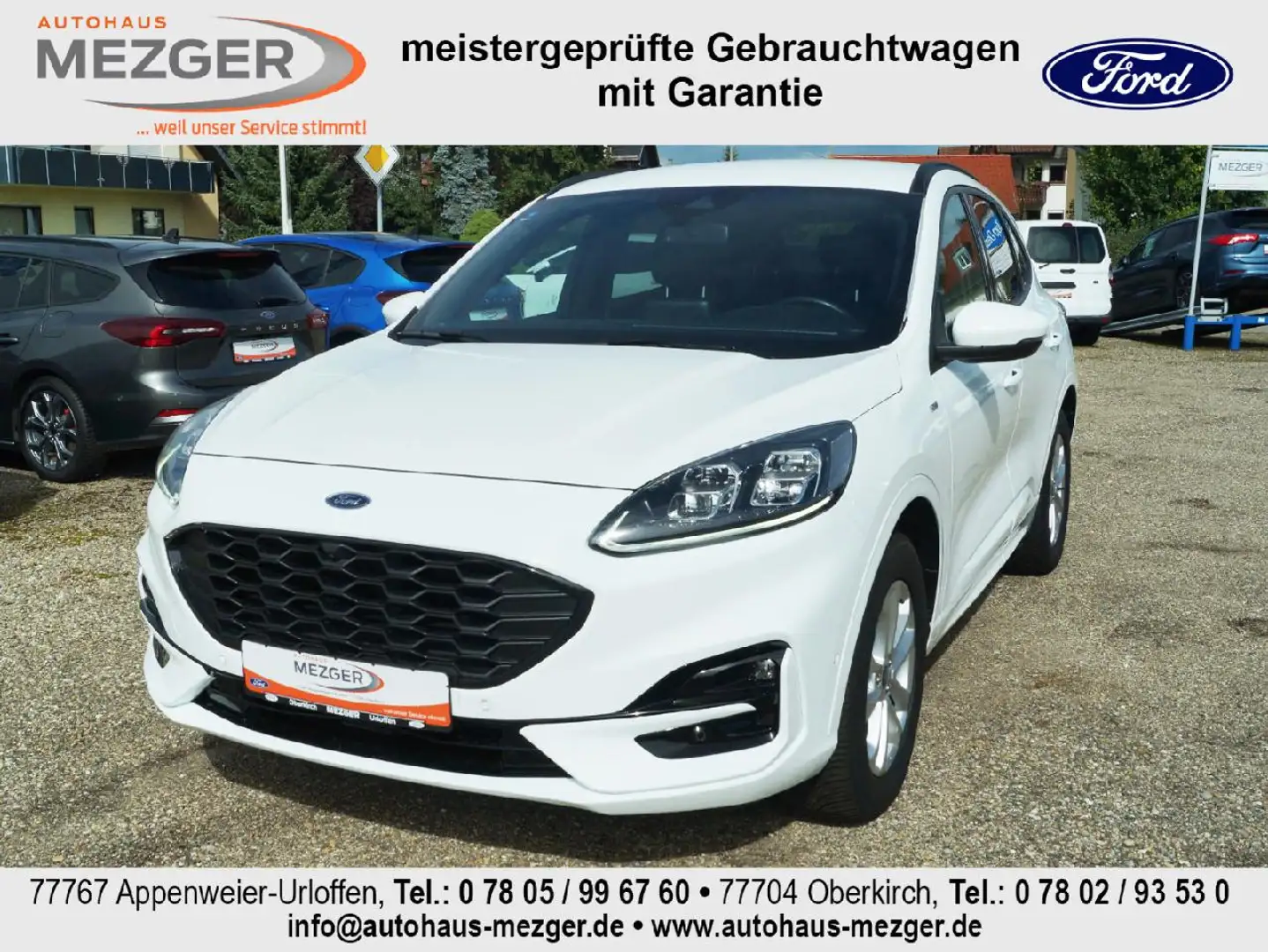 Ford Kuga ST-Line X Weiß - 1
