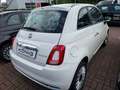 Fiat 500 1.0 Dolcevita*Glasdach*Klima*GJR*PDC Blanc - thumbnail 4