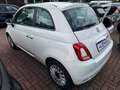 Fiat 500 1.0 Dolcevita*Glasdach*Klima*GJR*PDC Blanc - thumbnail 2
