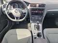Volkswagen Golf 1.6 TDI Rabbit * APP CONNECT * ACC * AHK Gris - thumbnail 14