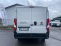 Fiat Ducato Fiat Ducato 28 Ch1 2.3 Multijet 120cv +Iva Bianco - thumbnail 4