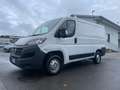 Fiat Ducato Fiat Ducato 28 Ch1 2.3 Multijet 120cv +Iva Bianco - thumbnail 1
