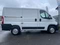 Fiat Ducato Fiat Ducato 28 Ch1 2.3 Multijet 120cv +Iva Bianco - thumbnail 6