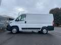 Fiat Ducato Fiat Ducato 28 Ch1 2.3 Multijet 120cv +Iva Bianco - thumbnail 2