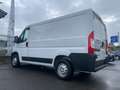 Fiat Ducato Fiat Ducato 28 Ch1 2.3 Multijet 120cv +Iva Bianco - thumbnail 3
