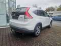 Honda CR-V Diesel 2.2i DTEC 4WD Automatik Executive /AHK 2000 Weiß - thumbnail 3
