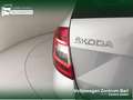 Skoda Octavia wagon 1.6 tdi executive 115cv dsg Plateado - thumbnail 17