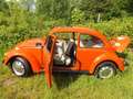 Volkswagen Käfer 1200 aus 1. Hand, Erstlack und Scheckheft! Oranžová - thumbnail 4