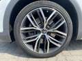 Volkswagen Passat Alltrack 4Motion 2.0 TSI OPF Weiß - thumbnail 15