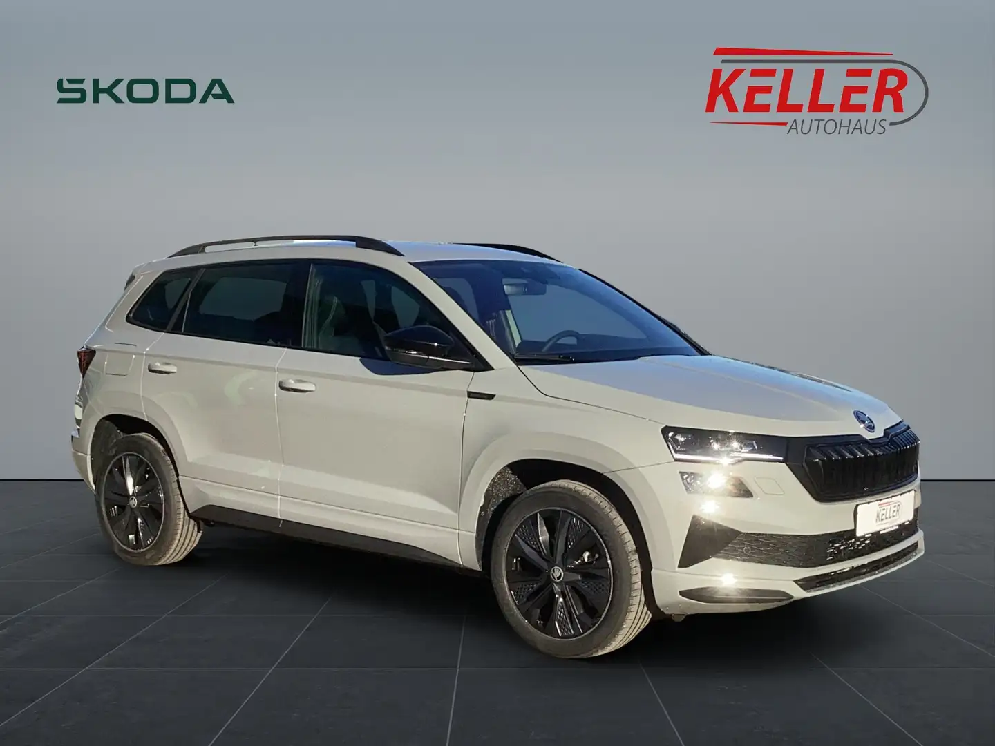 Skoda Karoq Sportline 1,5 TSI 110 kW 7-Gang-DSG Grau - 2