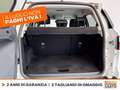 Ford EcoSport 1.0 ecoboost active s&s 125cv Bianco - thumbnail 12