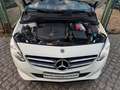 Mercedes-Benz B 200 d Edition 1-Hand Scheckheft Navi Teilleder Blanco - thumbnail 18