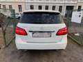 Mercedes-Benz B 200 d Edition 1-Hand Scheckheft Navi Teilleder Blanco - thumbnail 3