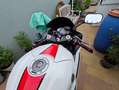 Yamaha YZF-R6 RJ11 Rouge - thumbnail 4