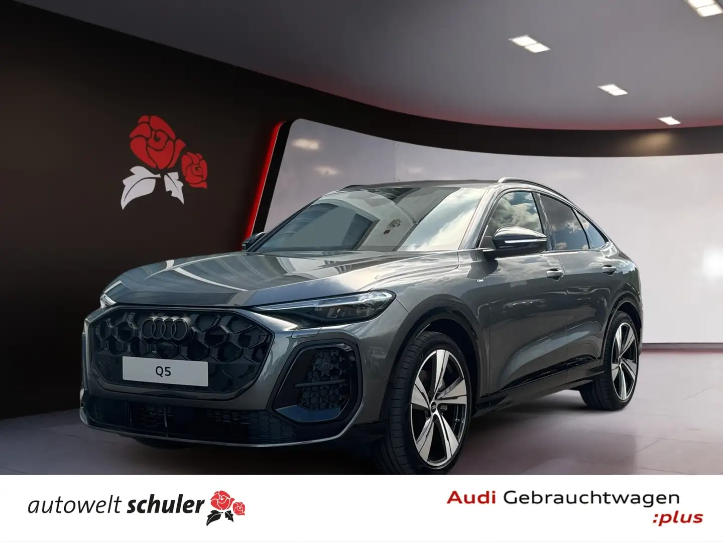 Audi Q5 Sportback 2.0 TDI quattro Licht+Tech+MMI PRO Grau - 1