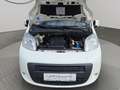 Fiat Qubo Fiorino Qubo **AHK,Pickerl / Service NEU** Weiß - thumbnail 22