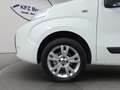 Fiat Qubo Fiorino Qubo **AHK,Pickerl / Service NEU** Weiß - thumbnail 23