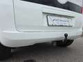 Fiat Qubo Fiorino Qubo **AHK,Pickerl / Service NEU** Weiß - thumbnail 33