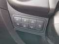 Fiat Qubo Fiorino Qubo **AHK,Pickerl / Service NEU** Weiß - thumbnail 28