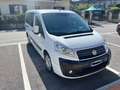 Fiat Scudo 8 posti - passo lungo Blanc - thumbnail 1