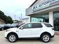 Land Rover Discovery Sport 2.0D I4-L.Flw 150 CV AWD Auto S MHEV Bianco - thumbnail 10