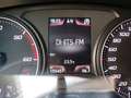 SEAT Leon 1.6 TDI 105 I-Tech Start&Stop Rosso - thumbnail 15