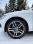 Audi SQ5 3.0 TDI competition Scheckheftgepflegt Weiß - thumbnail 4