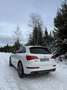 Audi SQ5 3.0 TDI competition Scheckheftgepflegt Weiß - thumbnail 1